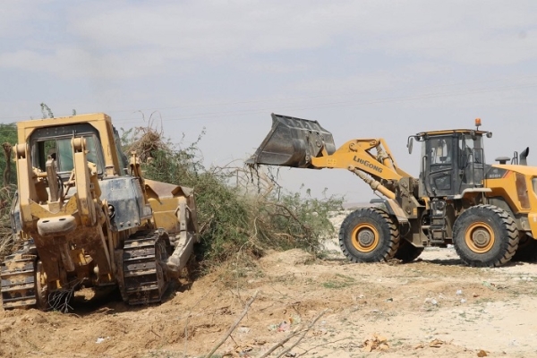 تدشين حملة إزالة أشجار السيسبان بمديرية قشن في المهرة